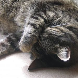 Meet your Posher, Scott